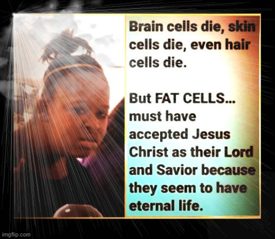 fat cells | image tagged in funny memes | made w/ Imgflip meme maker
