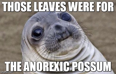Awkward Moment Sealion Meme | THOSE LEAVES WERE FOR THE ANOREXIC POSSUM | image tagged in memes,awkward moment sealion | made w/ Imgflip meme maker