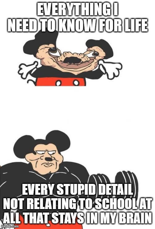 Buff Mickey Mouse | EVERYTHING I NEED TO KNOW FOR LIFE; EVERY STUPID DETAIL NOT RELATING TO SCHOOL AT ALL THAT STAYS IN MY BRAIN | image tagged in buff mickey mouse | made w/ Imgflip meme maker