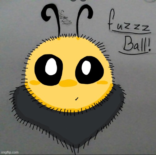 FUZZZZZ | made w/ Imgflip meme maker