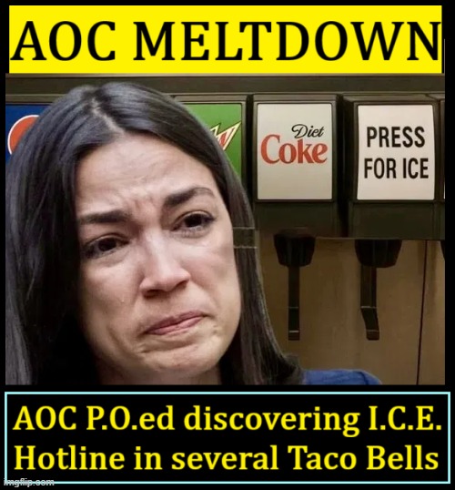 AOC claims Racial Profiling targeting Latino illegals at Taco Bell | image tagged in vince vance,aoc,meltdown,taco bell,ice,machine | made w/ Imgflip meme maker
