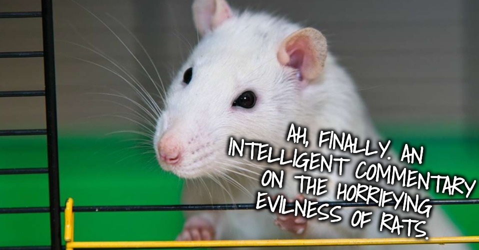 AH, FINALLY. AN INTELLIGENT COMMENTARY ON THE HORRIFYING EVILNESS OF RATS. | made w/ Imgflip meme maker