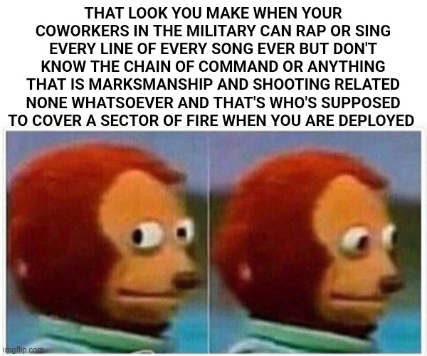 Funny | THAT LOOK YOU MAKE WHEN YOUR COWORKERS IN THE MILITARY CAN RAP OR SING EVERY LINE OF EVERY SONG EVER BUT DON'T KNOW THE CHAIN OF COMMAND OR ANYTHING THAT IS MARKSMANSHIP AND SHOOTING RELATED NONE WHATSOEVER AND THAT'S WHO'S SUPPOSED TO COVER A SECTOR OF FIRE WHEN YOU ARE DEPLOYED | image tagged in memes,monkey puppet,military,tech support,safety,combat | made w/ Imgflip meme maker