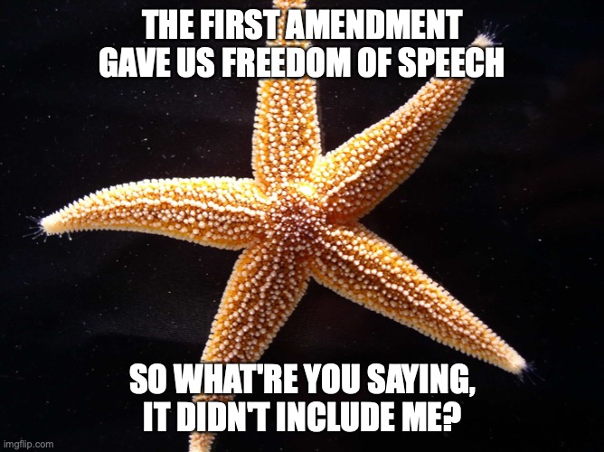 First Amendment Starfish | THE FIRST AMENDMENT GAVE US FREEDOM OF SPEECH; SO WHAT'RE YOU SAYING, IT DIDN'T INCLUDE ME? | image tagged in starfish,first amendment,freedom,america | made w/ Imgflip meme maker