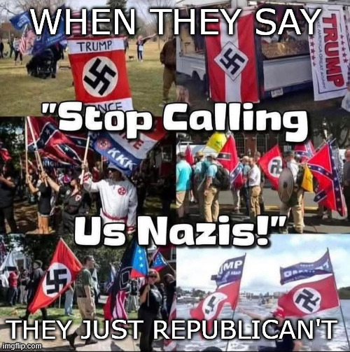 Republican't | WHEN THEY SAY; THEY JUST REPUBLICAN'T | image tagged in donald trump,trump,president trump,nazis,nazi,racism | made w/ Imgflip meme maker