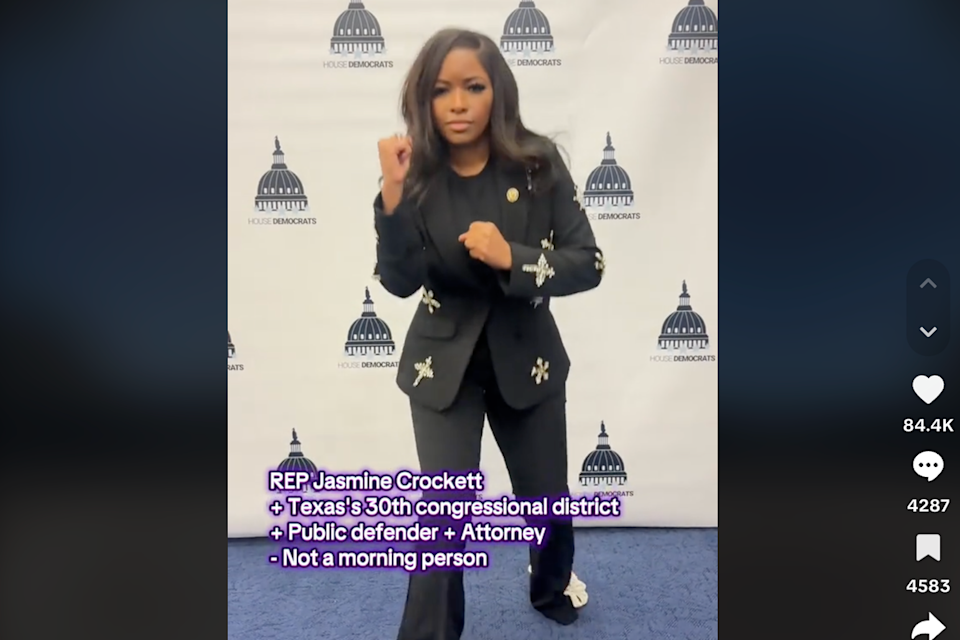 Jasmine Crocket street fighter tiktok pose Blank Meme Template