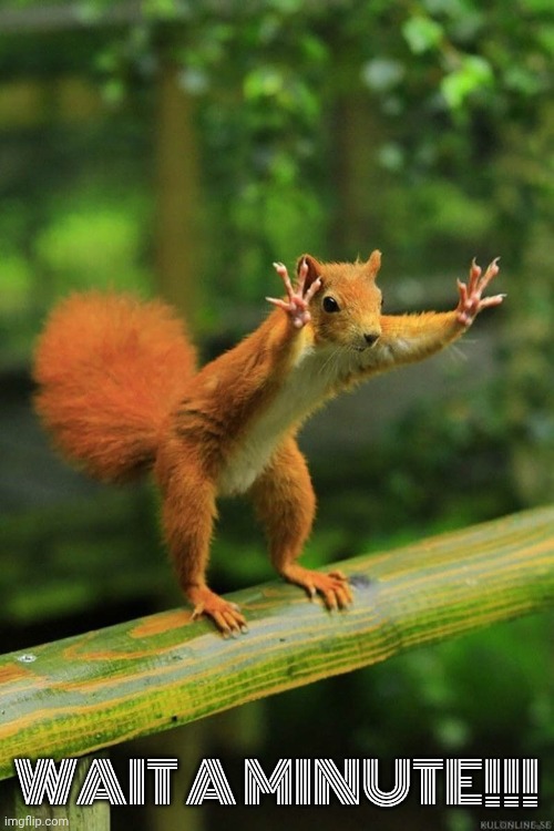Posting Times | WAIT A MINUTE!!! | image tagged in wait a minute squirrel | made w/ Imgflip meme maker
