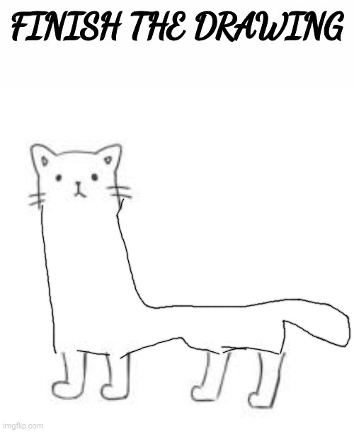 finish the drawing | image tagged in finish the drawing | made w/ Imgflip meme maker