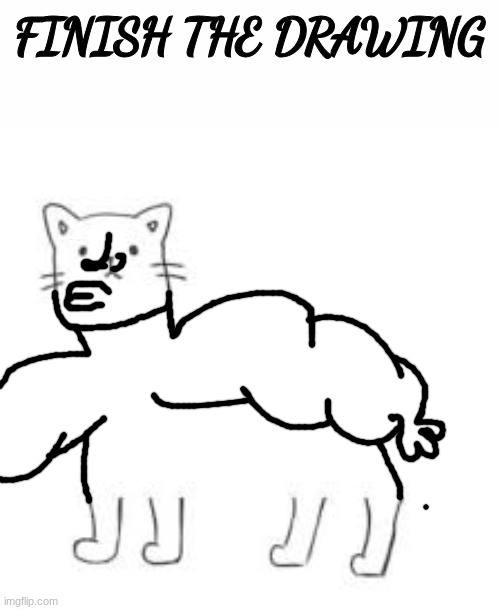 finish the drawing | image tagged in finish the drawing | made w/ Imgflip meme maker