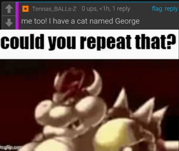 image tagged in could you repeat that | made w/ Imgflip meme maker