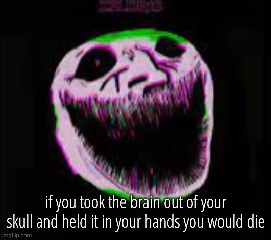 phonk troll | if you took the brain out of your skull and held it in your hands you would die | image tagged in phonk troll | made w/ Imgflip meme maker