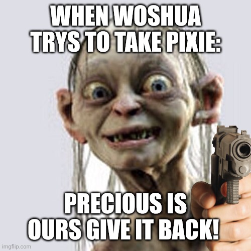 MY PREEECIOOOOOOUS: | WHEN WOSHUA TRYS TO TAKE PIXIE:; PRECIOUS IS OURS GIVE IT BACK! | image tagged in my precious diploma | made w/ Imgflip meme maker