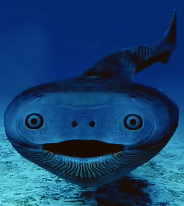 Sacabambaspis Blank Meme Template