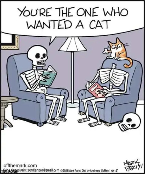 You wanted the cat | image tagged in repost,you wanted the cat | made w/ Imgflip meme maker