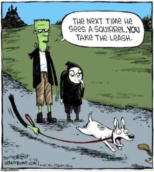 Walk the dog | image tagged in repost,walk the dog | made w/ Imgflip meme maker