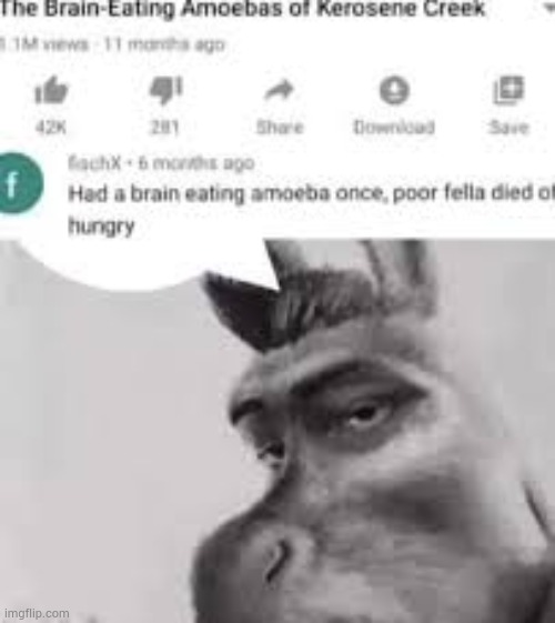 image tagged in amoeba | made w/ Imgflip meme maker