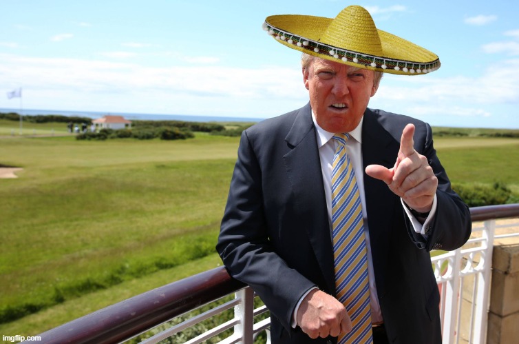 trump sombrero  | image tagged in trump sombrero | made w/ Imgflip meme maker