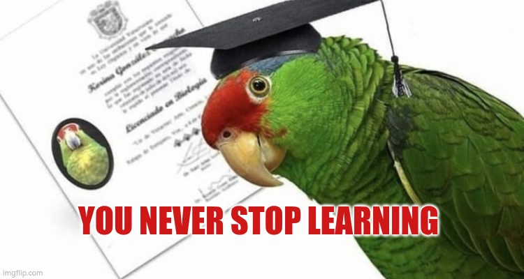 You never stop learning | YOU NEVER STOP LEARNING | image tagged in learning,autism,life lessons,life,education | made w/ Imgflip meme maker