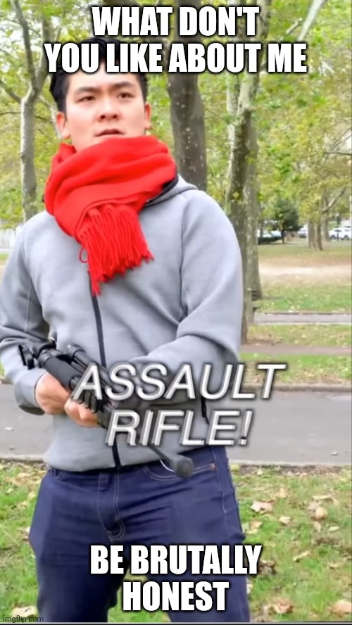 Assault rifle | WHAT DON'T YOU LIKE ABOUT ME; BE BRUTALLY HONEST | image tagged in assault rifle | made w/ Imgflip meme maker
