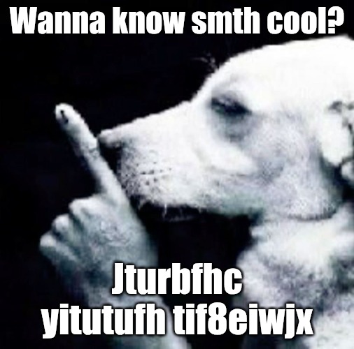 Cj ruir tirieif fivigit | Wanna know smth cool? Jturbfhc yitutufh tif8eiwjx | image tagged in shh dog | made w/ Imgflip meme maker