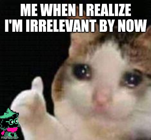 you are NOT | ME WHEN I REALIZE I'M IRRELEVANT BY NOW | image tagged in approved crying cat | made w/ Imgflip meme maker