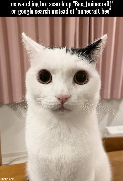 me watching bro search up "Bee_(minecraft)" on google search instead of "minecraft bee" | made w/ Imgflip meme maker