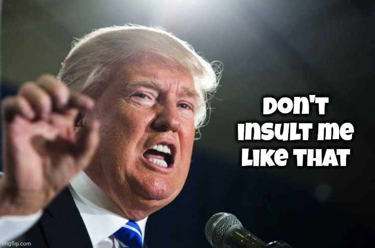 donald trump | Don't insult me like that | image tagged in donald trump | made w/ Imgflip meme maker