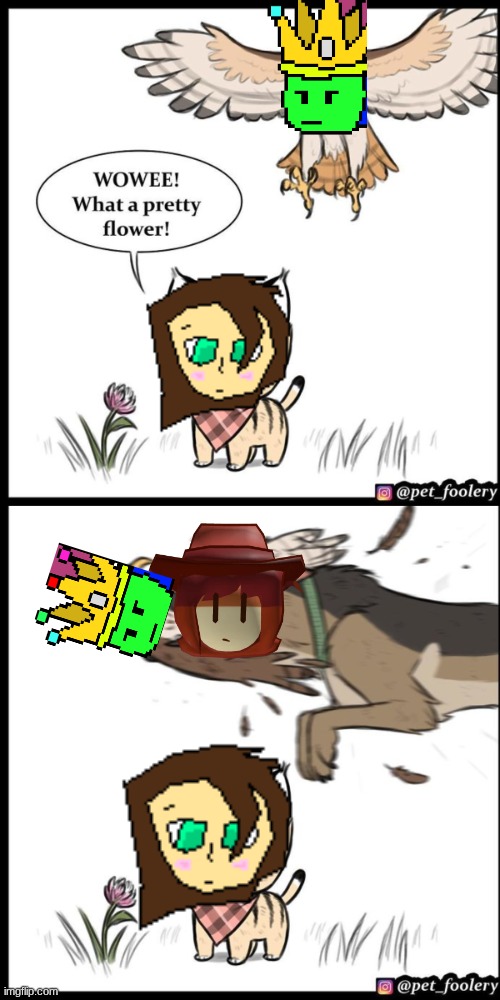 fuck no he took my OC ? | image tagged in brutus and pixie | made w/ Imgflip meme maker