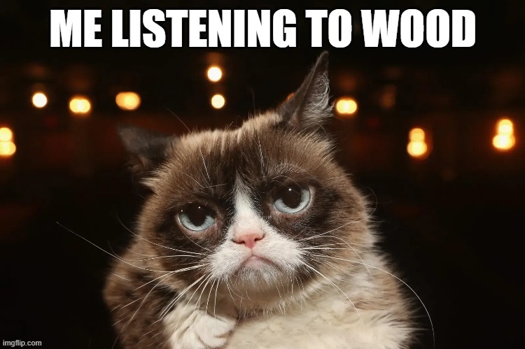 Wood Taylor's Version | image tagged in taylor swift,cringe,cats | made w/ Imgflip meme maker