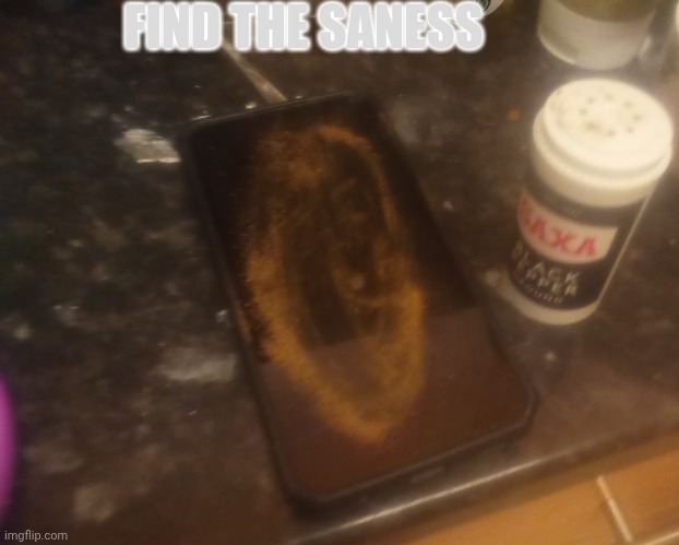 FIND THE HIDDEN SANESS (pepper edition) | FIND THE SANESS | image tagged in undertale,sans,memes,pepper | made w/ Imgflip meme maker