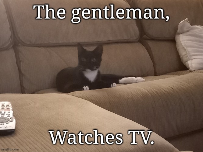 The gentleman, Watches TV. | made w/ Imgflip meme maker