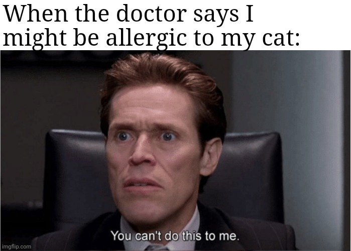 You can't do this to me | When the doctor says I might be allergic to my cat: | image tagged in you can't do this to me | made w/ Imgflip meme maker