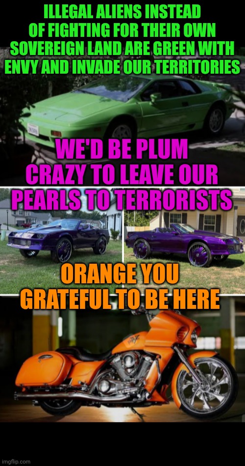 Funny | ILLEGAL ALIENS INSTEAD OF FIGHTING FOR THEIR OWN SOVEREIGN LAND ARE GREEN WITH ENVY AND INVADE OUR TERRITORIES; WE'D BE PLUM CRAZY TO LEAVE OUR PEARLS TO TERRORISTS; ORANGE YOU GRATEFUL TO BE HERE | image tagged in funny,president trump,illegal aliens,drugs,terrorists,politics | made w/ Imgflip meme maker