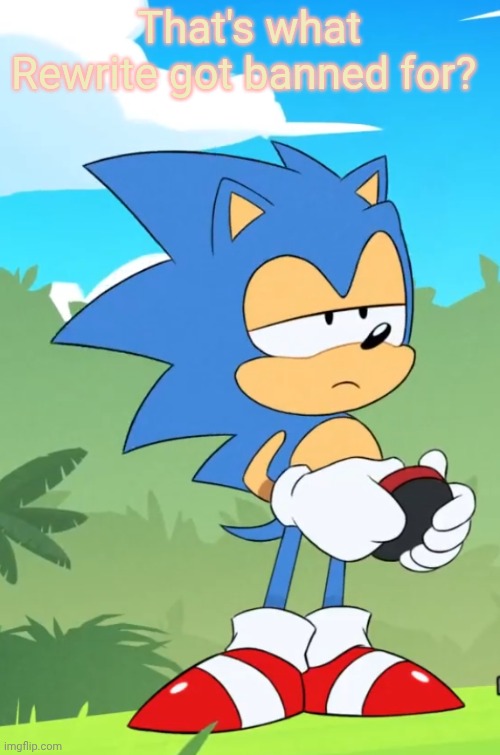 Bullying? | That's what Rewrite got banned for? | image tagged in bored sonic | made w/ Imgflip meme maker