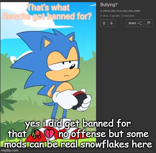 dont ban me because i was being honest | yes i did get banned for that 🥀💔 no offense but some mods can be real snowflakes here | made w/ Imgflip meme maker