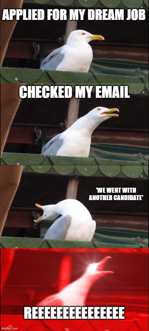Inhaling Seagull | APPLIED FOR MY DREAM JOB; CHECKED MY EMAIL; 'WE WENT WITH ANOTHER CANDIDATE'; REEEEEEEEEEEEEEE | image tagged in memes,inhaling seagull,job | made w/ Imgflip meme maker