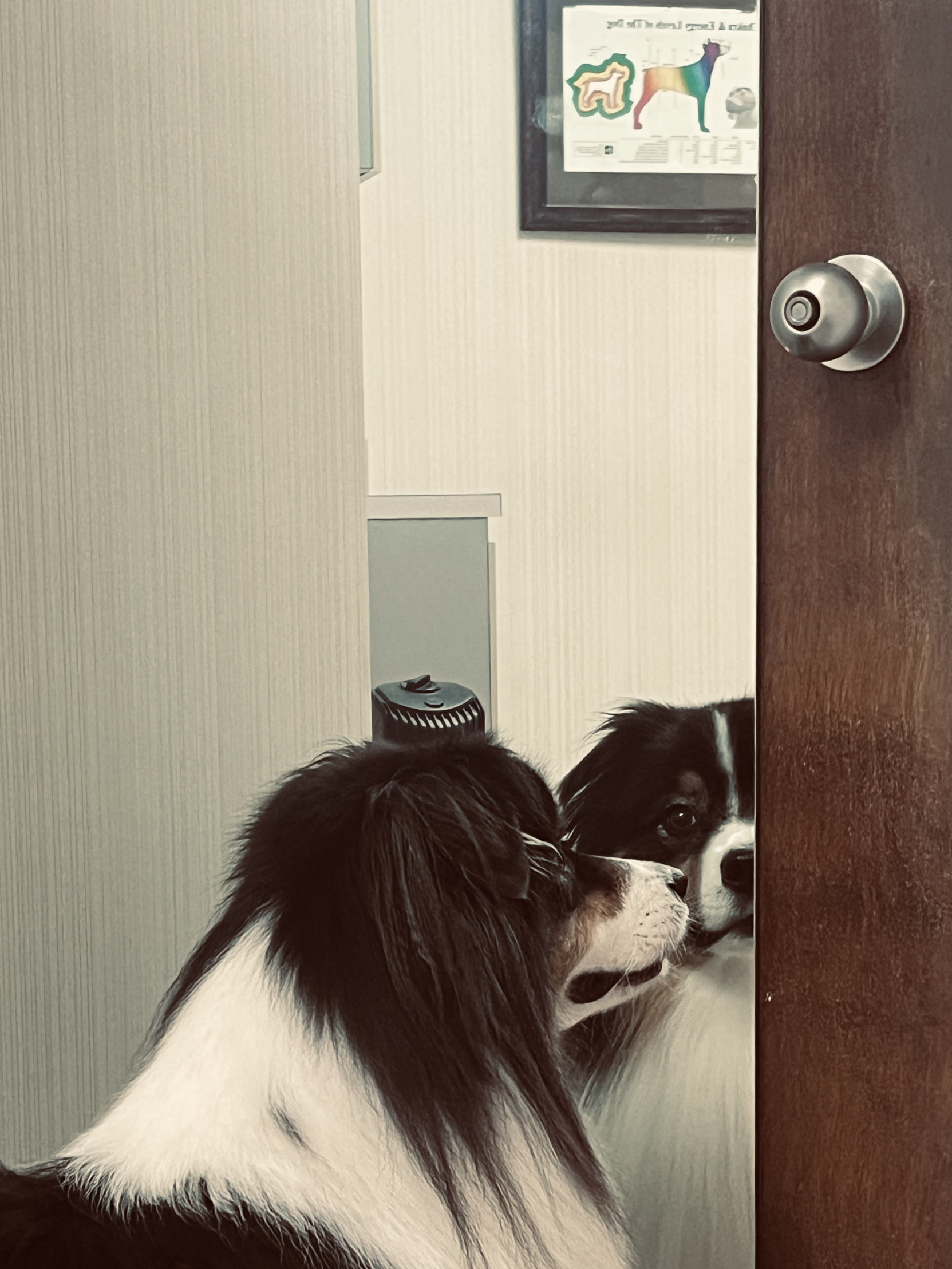 Annoyed Flint Blank Meme Template