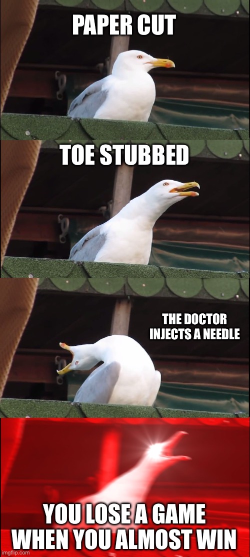 Inhaling Seagull | PAPER CUT; TOE STUBBED; THE DOCTOR INJECTS A NEEDLE; YOU LOSE A GAME WHEN YOU ALMOST WIN | image tagged in memes,inhaling seagull | made w/ Imgflip meme maker