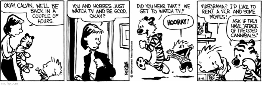 I don’t think that vcr and those movies will make it there in time… | image tagged in calvin and hobbes,comics,watch tv,rent a vcr,movies | made w/ Imgflip meme maker