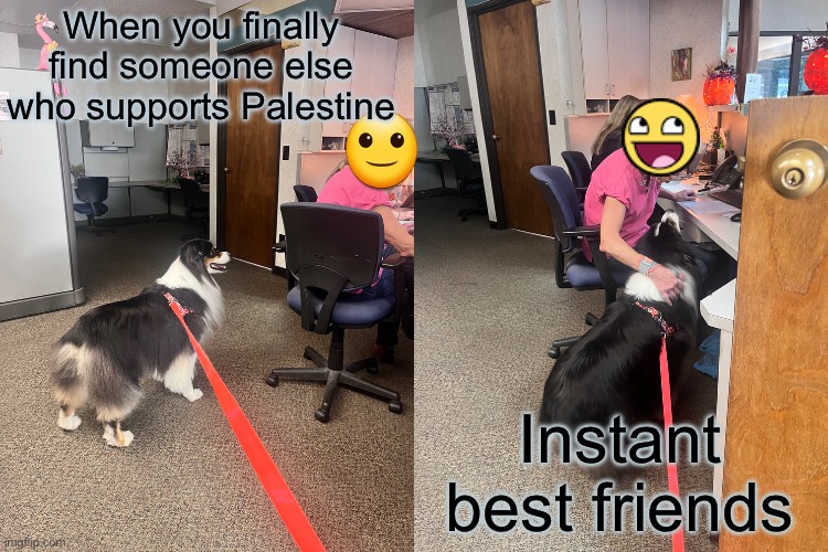 funny | When you finally find someone else who supports Palestine; Instant best friends | image tagged in funny,palestine | made w/ Imgflip meme maker
