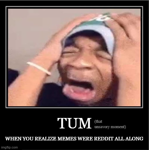 trying to start a movement | (that unsavory moment); TUM; WHEN YOU REALIZE MEMES WERE REDDIT ALL ALONG | image tagged in demotivational poster,tum,unsavory moments | made w/ Imgflip meme maker