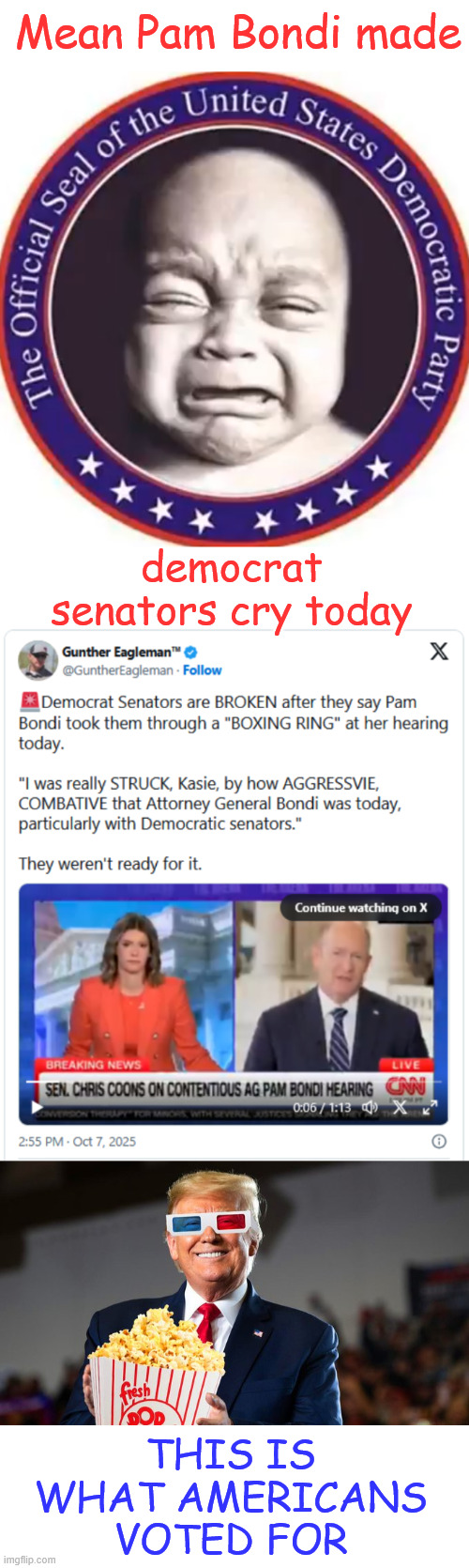 Grandstanding dems got a beatdown today by a woman and it was glorious to watch. | Mean Pam Bondi made; democrat senators cry today; THIS IS WHAT AMERICANS VOTED FOR | image tagged in crybaby dems,met their match,pam bondi not taking any crap from them | made w/ Imgflip meme maker