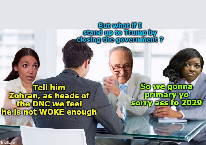 It's a Huge part of it, he's scared shitless of them | But what if I stand up to Trump by closing the government ? Tell him Zohran, as heads of the DNC we feel he is not WOKE enough; So we gonna primary yo sorry ass fo 2029 | image tagged in schumer afraid of squad close government meme | made w/ Imgflip meme maker