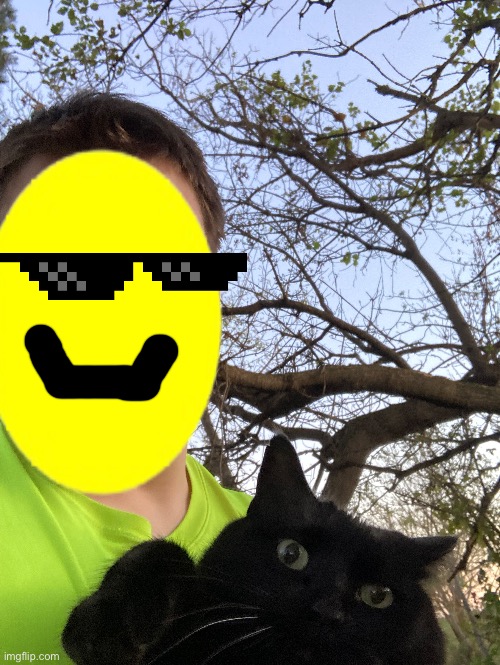 Sugar is the name of the floofball (also yes IK I have Face revealed before however my acne hates me this week so yeah) | made w/ Imgflip meme maker