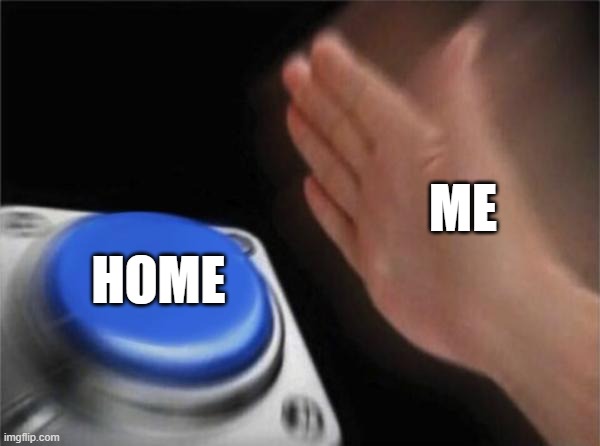 home | ME; HOME | image tagged in memes,blank nut button | made w/ Imgflip meme maker