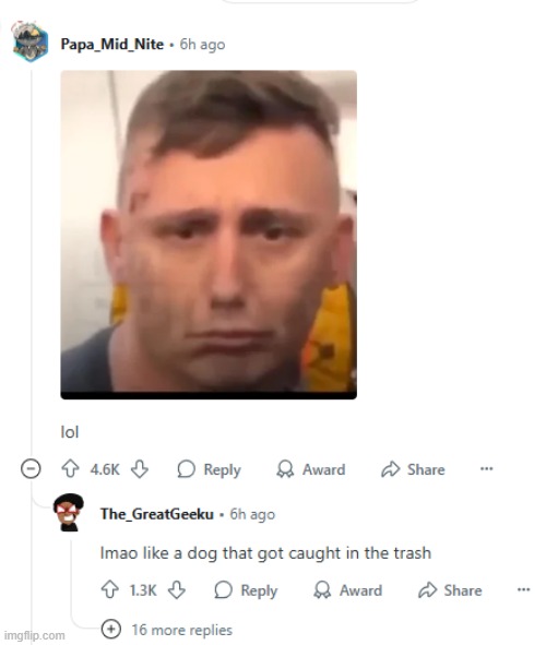 image tagged in dog,caught,trash | made w/ Imgflip meme maker