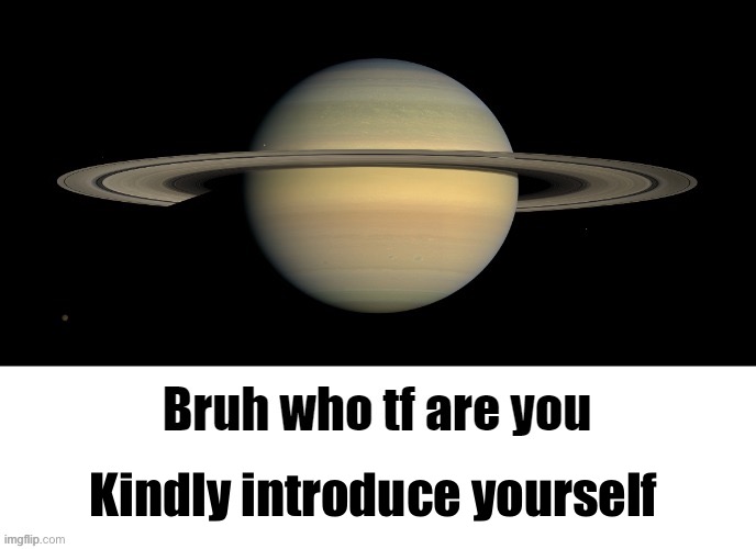 Bruh who tf are you LMAOOO | Kindly introduce yourself | image tagged in bruh who tf are you lmaooo | made w/ Imgflip meme maker