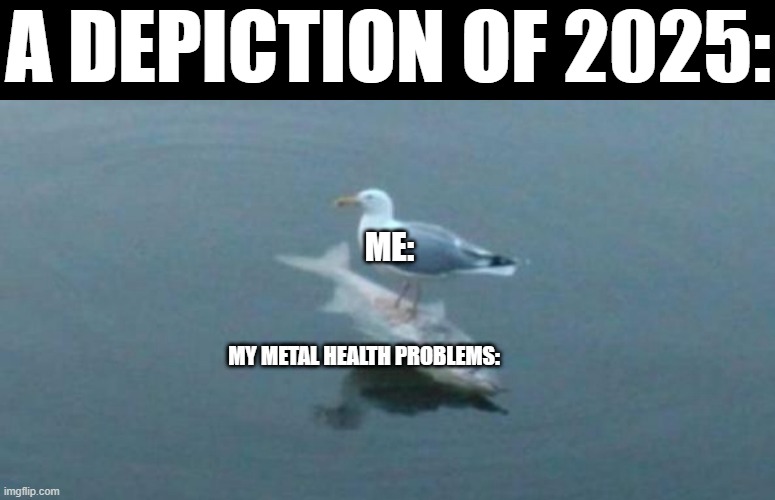 The truth of 2025 | A DEPICTION OF 2025:; ME:; MY METAL HEALTH PROBLEMS: | image tagged in gull surfing on a fish | made w/ Imgflip meme maker