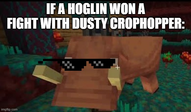 Hoglin | IF A HOGLIN WON A FIGHT WITH DUSTY CROPHOPPER: | image tagged in hoglin | made w/ Imgflip meme maker