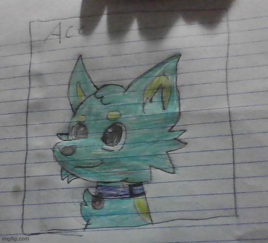 meet Ace ^w^ | image tagged in furry,art,oc | made w/ Imgflip meme maker